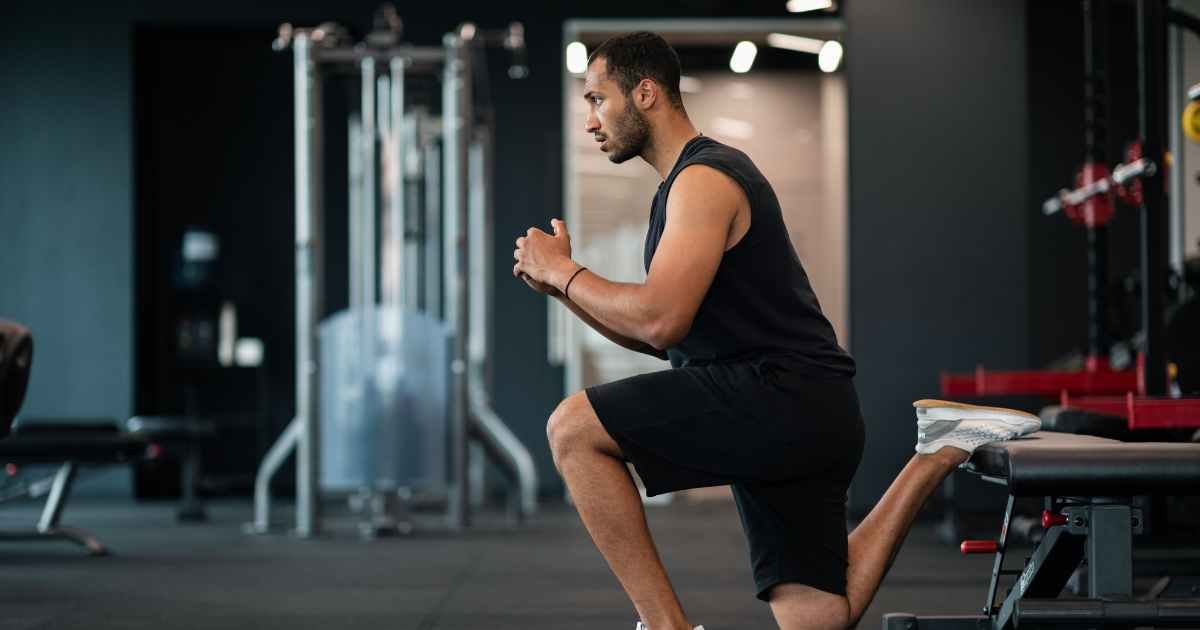 Bulgarian Split Squat Muscles Worked